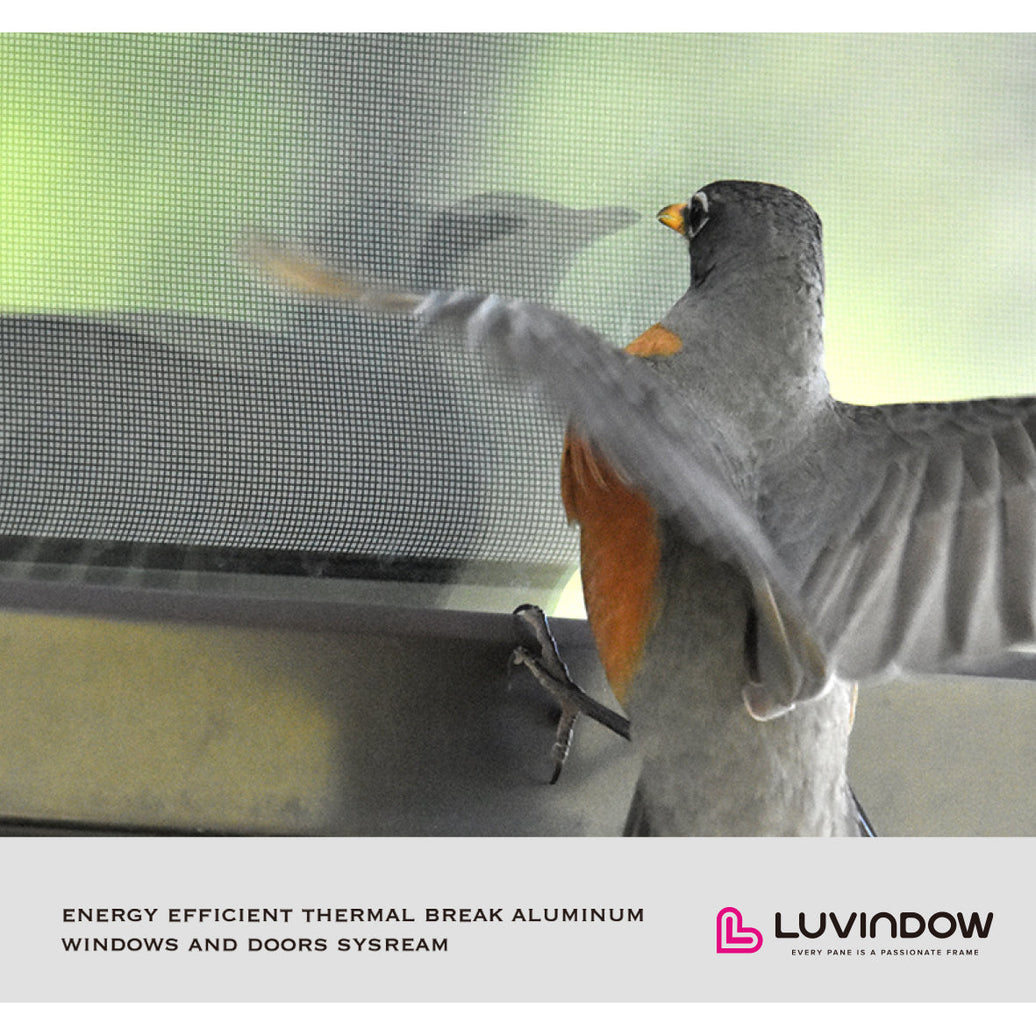 Luvindow Bird-Friendly Glass