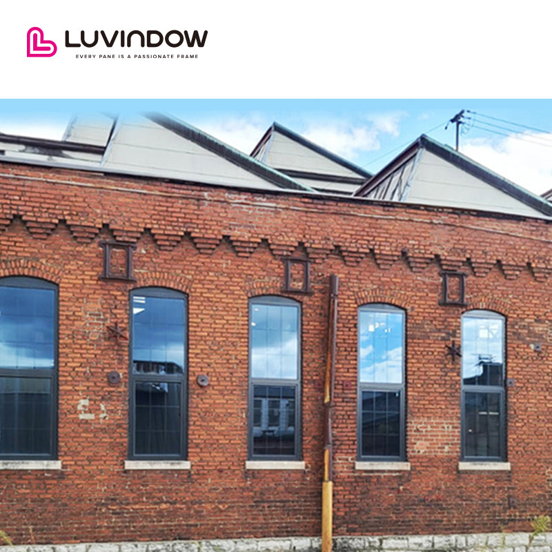 USA Albuquerque nice LUVINDOW Wholesale standard double hung window aluminium sizes small single windows