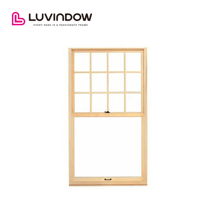 USA	Cleveland good quality LUVINDOW Wholesale standard double hung window aluminium sizes small single windows — product image 1