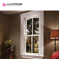 USA	Kansas nice LUVINDOW Wholesale price double hung window low-e single windows doorwin — thumbnail 2