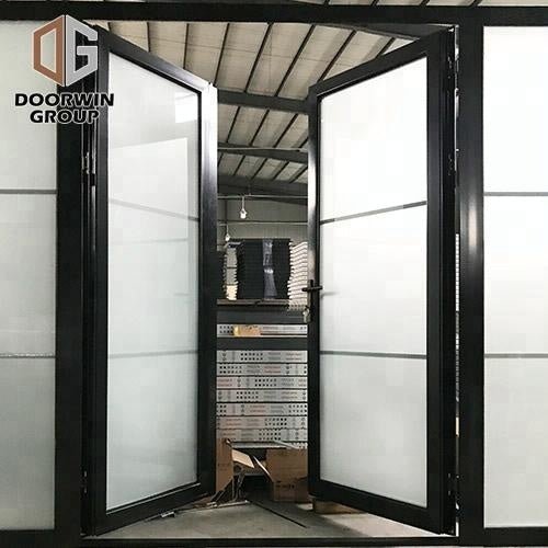 Black powder coated Color frosted tempered glass insert Thermal Break Aluminum hinged French door aluminum profile door by Doorwin — product image 3