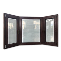 DOORWIN 2021Wooden bay windows villa window new style — thumbnail 1