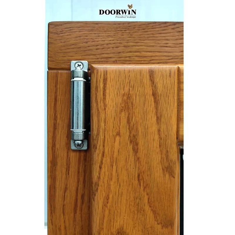 Doorwin modern custom german front doors - Doorwin Group Windows & Doors
