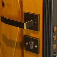 Entry door-C17 — thumbnail 9