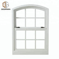 round top Single hung window Chinese supplier windows by Doorwin on Alibaba — thumbnail 1